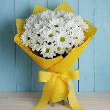 Букет цветов из:  Хризантемы в Фосфоритный