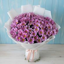 Букет цветов из:  Хризантемы #REPLACE_PRED# Фосфоритный