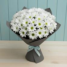 Букет цветов из:  Хризантемы в Фосфоритный